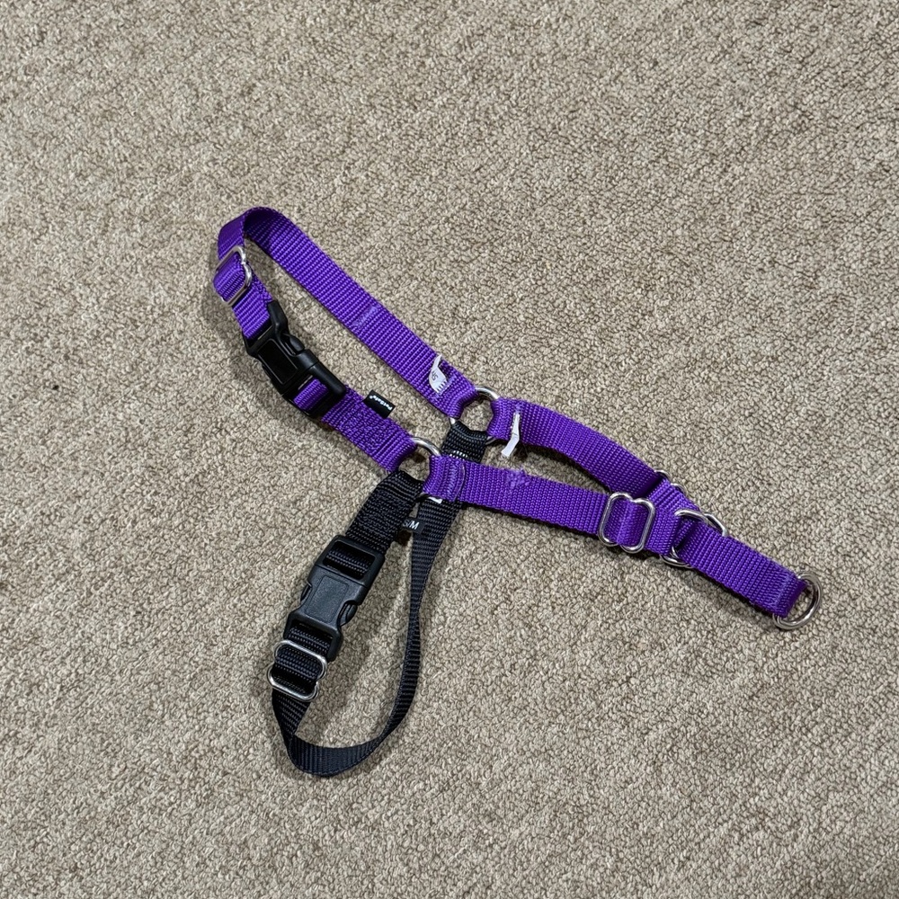 EasyWalk Front Harness